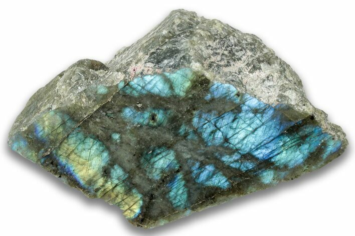 Single Side Polished Labradorite Section - Madagascar #324670